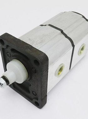 OTOilTechnologyOT100P4949D/G18P1PS1207021DZahnradpump