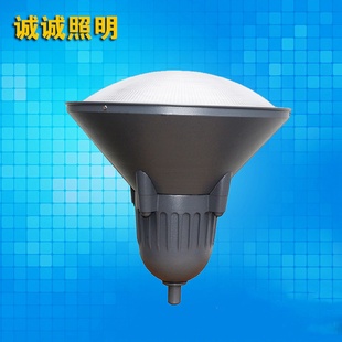 led防水防锈铝制庭院灯户外灯小区公园广场灯景观路灯头直销
