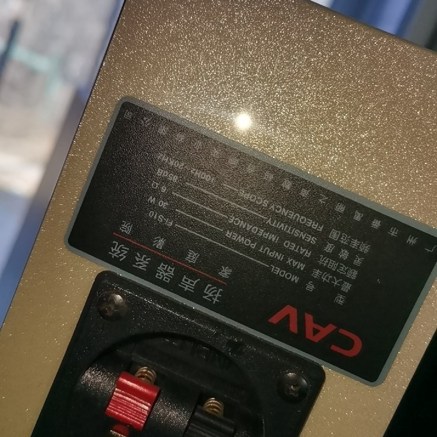 CAV音箱一只audio  型号fi-s10  家庭影院扬声-议价