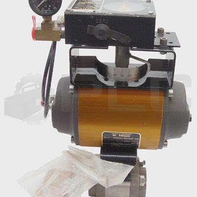 Nuovo WorcesterMcCanna PM15 Posizionatore Pneumatico Con 20