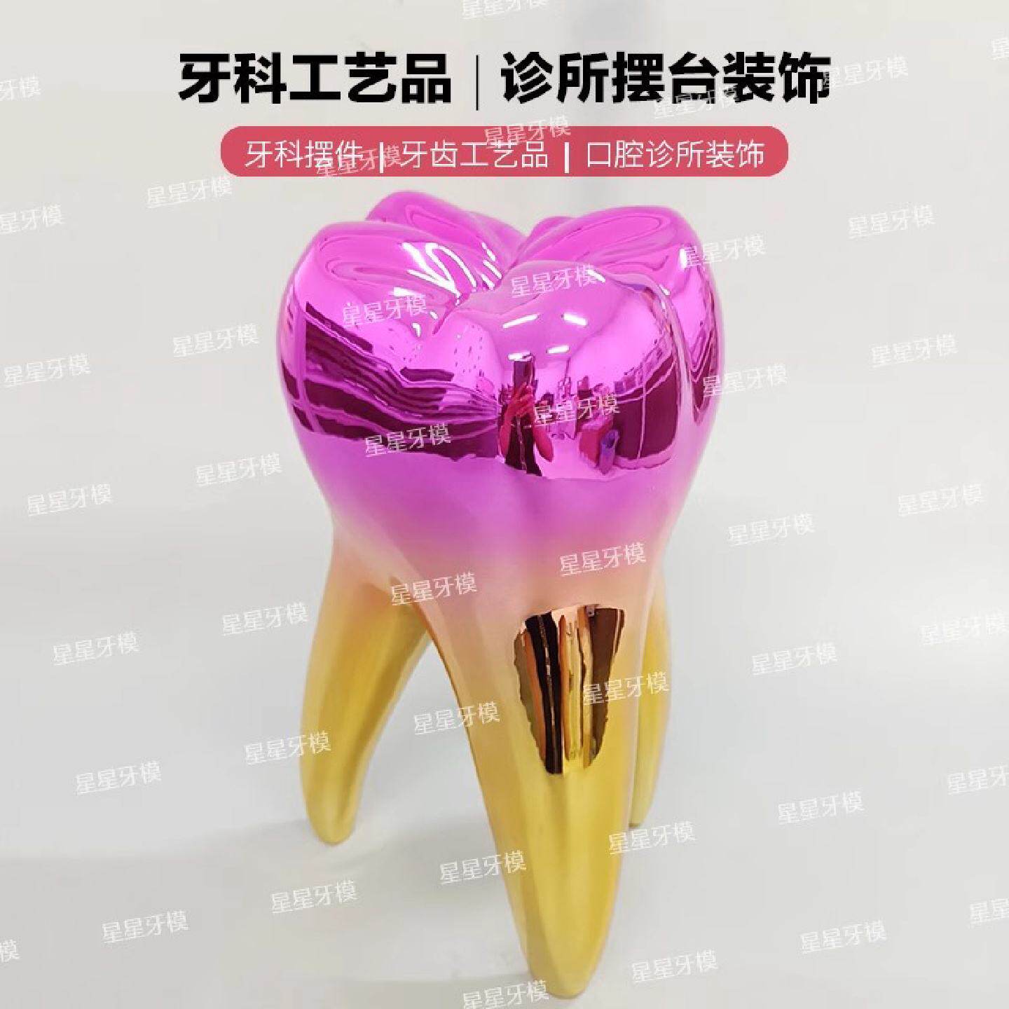 牙齿装饰模型彩色牙模型口腔门诊小摆件大彩牙科诊所牙齿饰品