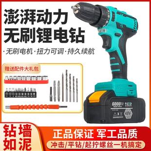 电动锂电池无刷家用迷你冲击钻头配件大功率 瑞仕大艺手电钻充电式