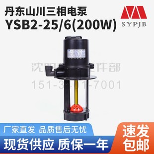 冷却水泵 三相电泵YSB2 沈阳数控机床车床 山川电泵