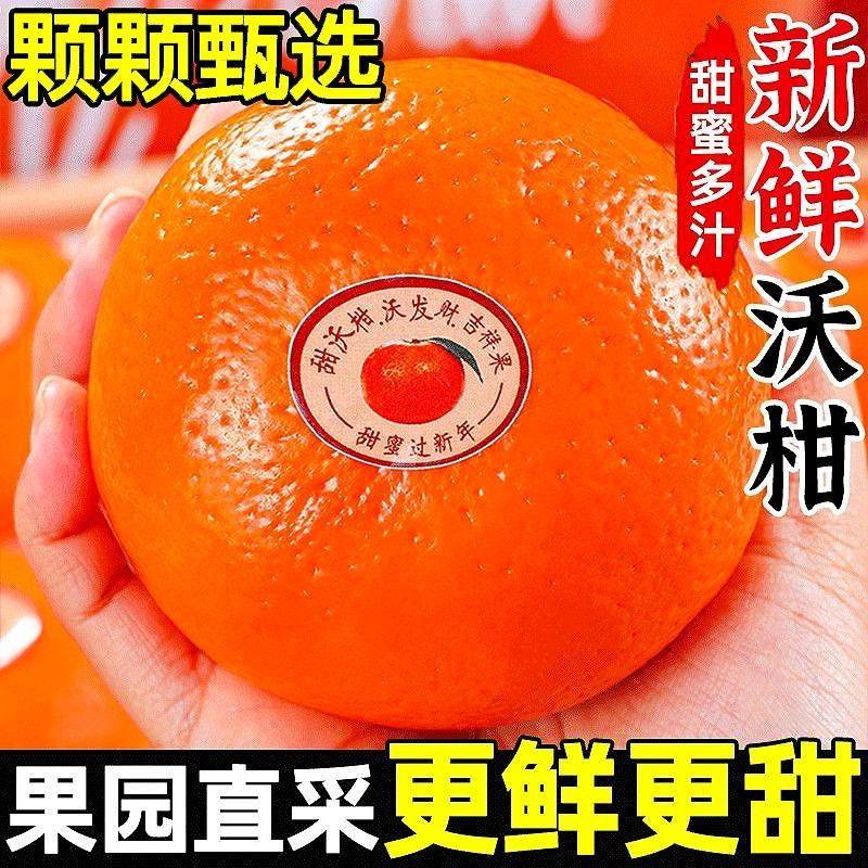 正宗广西武鸣沃柑新鲜橘子水果当季一级沙糖蜜橘砂糖柑橘大果整箱