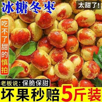 新鲜水果冬枣山东沾化当季整箱5斤现摘现发青枣脆甜多汁枣子新鲜