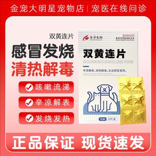 双黄连片宠物犬猫咪狗狗用感冒咳嗽退烧猫鼻支专用药打喷嚏流鼻涕