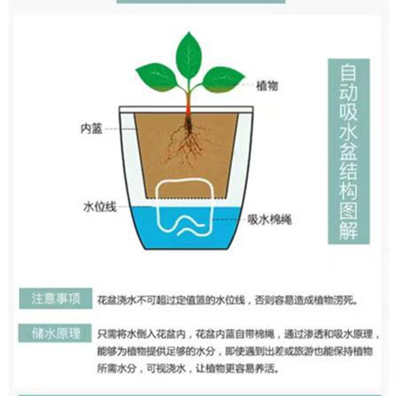 大型绿植盆栽室内客厅办公室桌面四季常青植物花卉