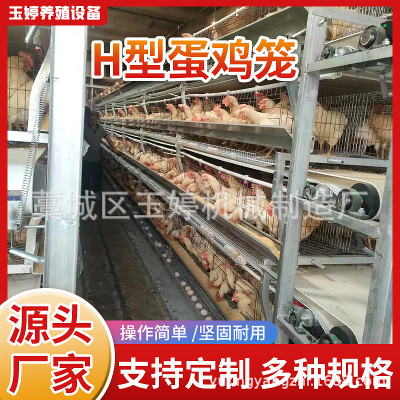 蛋鸡笼H型热镀锌鸡笼镀锌丝鸡笼阶梯式鸡笼厂家直供质量放心H型鸡,畜牧/养殖物资,畜牧/养殖器械,淘宝优惠券,粉丝福利购,淘宝优惠卷