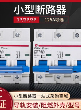 DZ47-125空开断路器空气开关DZ47-100C45 125A80A63A过载短路保护