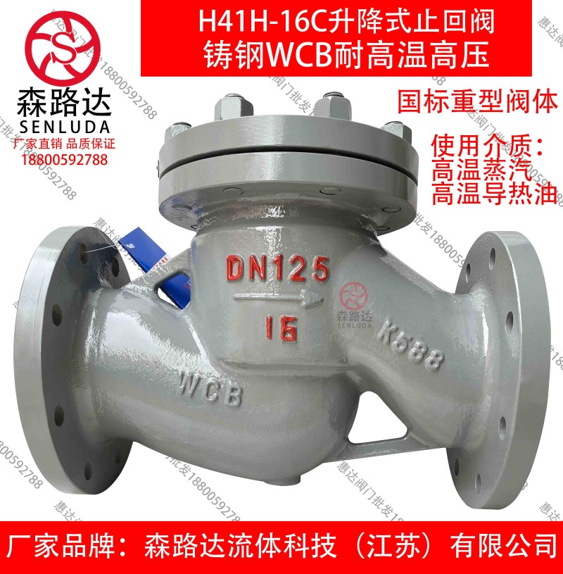 H41H-16C/25C升降式止回阀铸钢法兰止回阀蒸汽止回阀导热油止回阀
