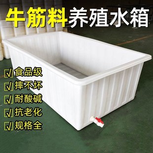 400专用泡瓷砖加厚牛筋塑料水箱长方形水槽水产养鱼方桶储水 800