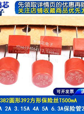392方形 382圆形 慢断微型保险丝管 250V T1A T2A 3.15A 4A 5A 6A