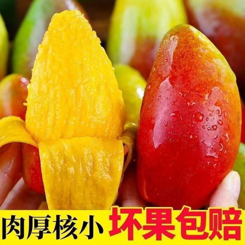 【下单立减30】【放软吃】正宗贵妃芒当季新鲜水果香甜多汁特产