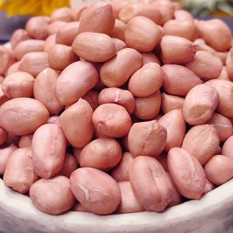 【新鲜花生】现剥新鲜大粒粉红皮白沙生花生米无壳新货,水产肉类/新鲜蔬果/熟食,新鲜花生,淘宝优惠券,粉丝福利购,淘宝优惠卷