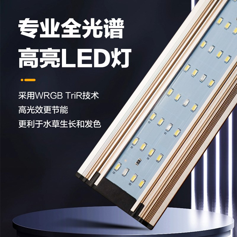 超大号鱼缸客厅小型家用生态鱼缸新款溪流造景超白缸桌面水景鱼缸