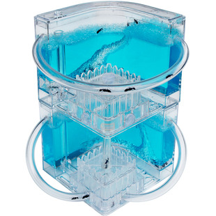 双层蚂蚁庄园蚂蚁工坊生态沙巢别墅蚂蚁生态箱农场送蚁后玩具礼物