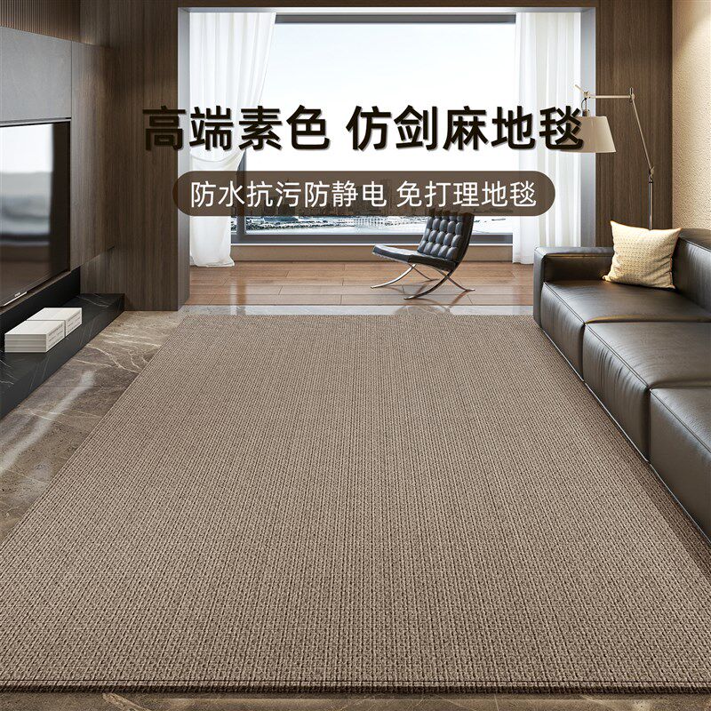 地毯客厅2025新款摄影棚高级感免打理家用沙发地垫卧室大面积全铺