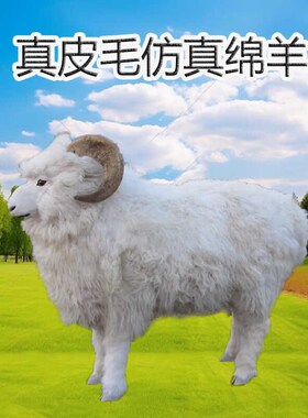 1:1仿真大号绵羊仿真羊商店庭院装饰摆件拍摄道具橱窗动物模型