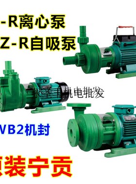 宁贡FS50*40-22R耐腐蚀增强塑料离心泵自吸泵耐酸碱防腐化工泵FSZ