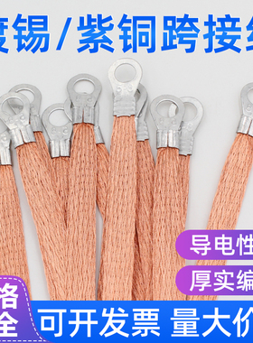 接地线导电带配电箱跨门线桥架法兰跨接线铜编织带软连接线铜扁线