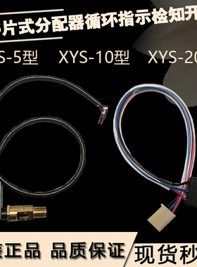 浙江流遍XYS-5循环指示器JPQ1型分油器分配阀LXW10检测开关XYS-20