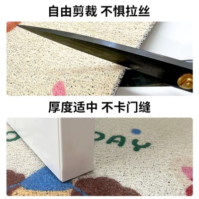 入户门口进门地垫丝圈家用耐脏免洗防滑垫门垫地毯玄关门前脚踏垫