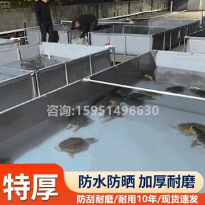 帆布鱼池防水布阳台养鱼水箱刀刮布篷布蓄水池修补养殖耐磨特厚