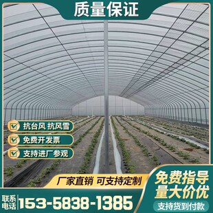 温室大棚骨架钢管养殖种植蔬菜通风全支架冷热镀锌管定制黑白膜