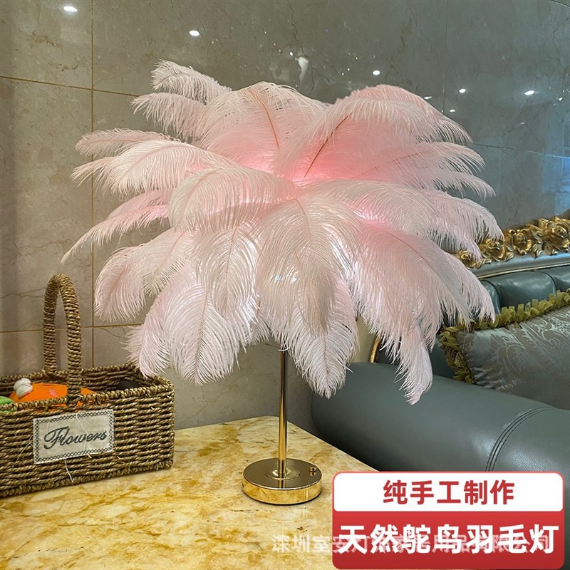 鸵鸟羽毛台灯氛围灯床灯卧室睡眠灯柔光插电