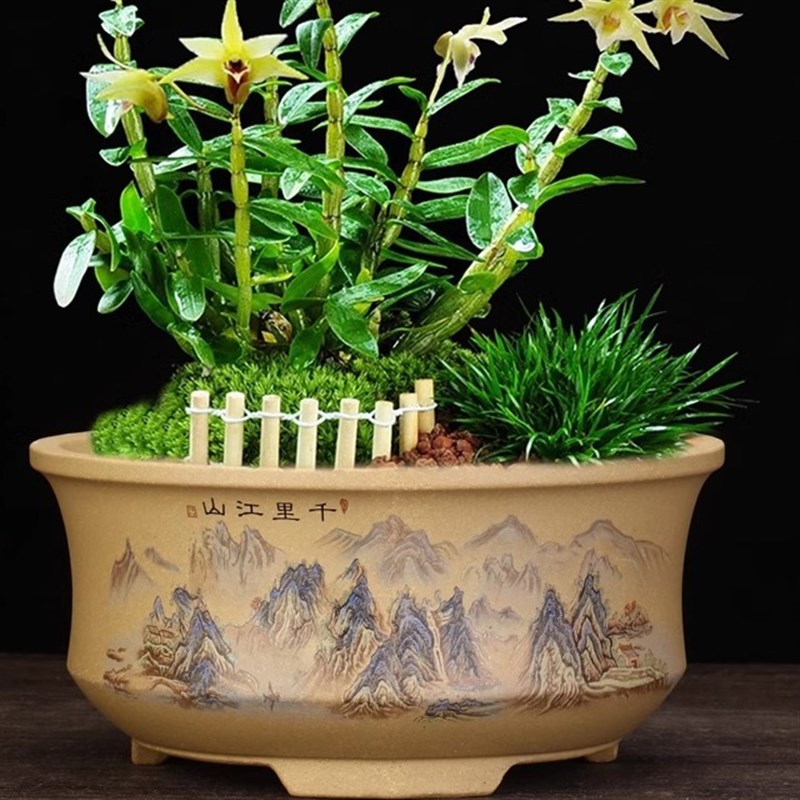 紫砂兰花盆手工贴画大口径精品桌面古典陶瓷君子兰蝴蝶兰竹子