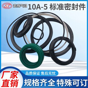 10A-5SD32 40 50 63 80 100 125 160 肇庆志成气缸密封件/修理包