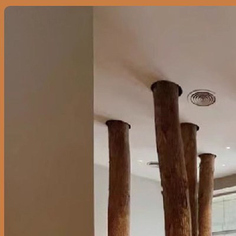 原木带树皮大树干咖啡厅装饰民宿造型造景木头摆件北欧圆木柱圆柱