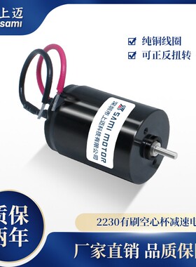 2230精密直流有刷空心杯减速电机 大扭力12v24V微型静音马达