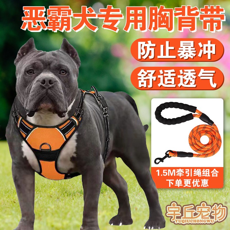 恶霸犬卡斯罗专用狗狗牵引绳背心式幼犬胸抱婴袋狗链中大型犬用品