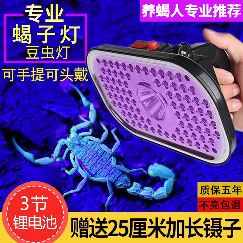 泰中星蠍子灯充电超亮户外照蠍子头戴式头灯大面积强光紫光专用灯