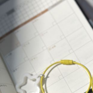 民航机械计数器点数手按记数客器针织记次可归零人流量仓库可爱猫