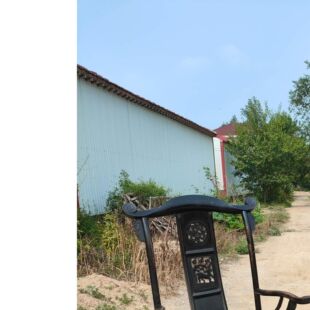 老榆木黑皮壳四出头官帽椅做工精细品相一流复古怀旧雕工好易收藏