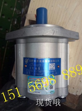 CBW-F304-CFP CLP CFH CLH AFP ALP AFH ALH原装合肥长源齿轮油泵