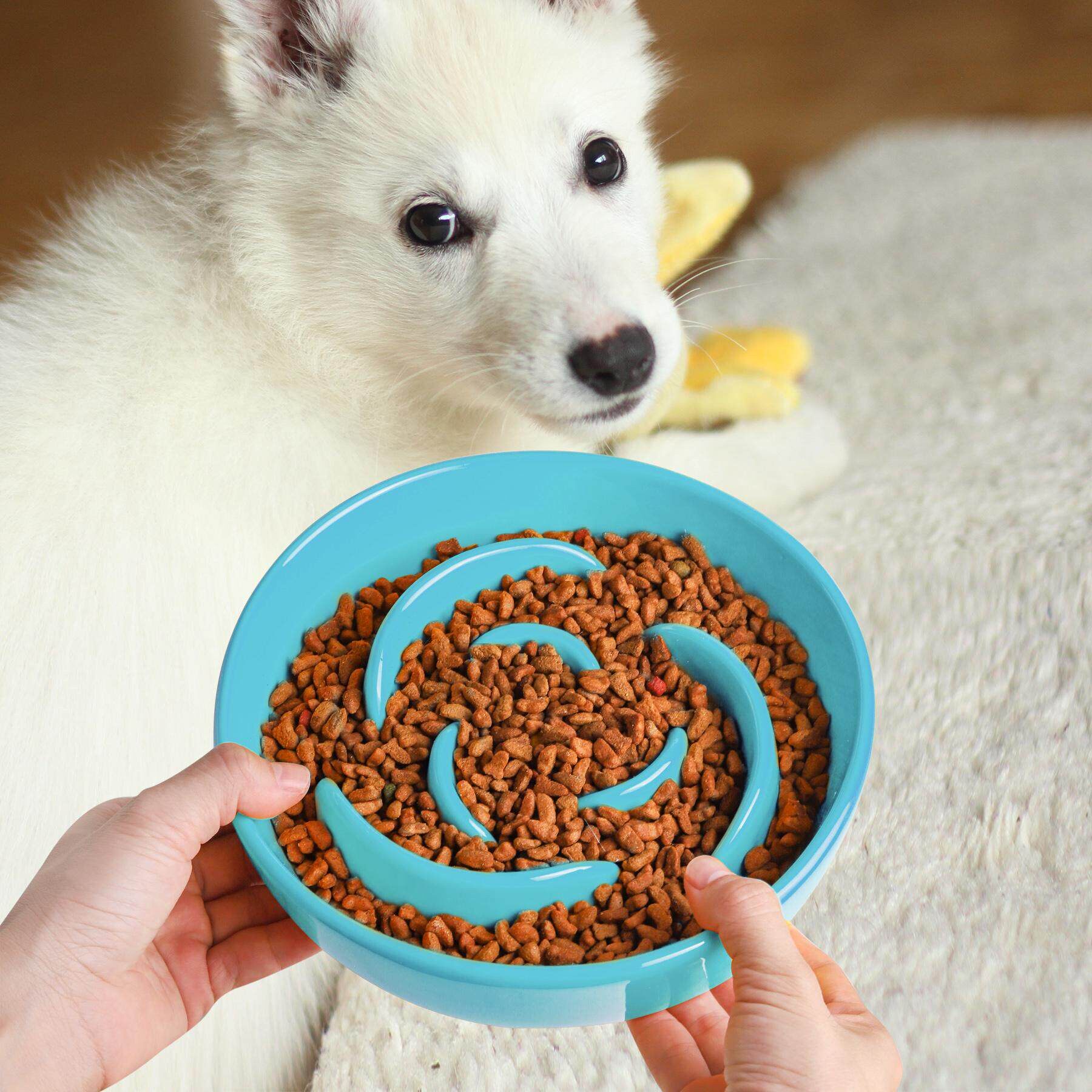 宠物防噎陶瓷饭碗玫瑰高颜值狗食碗大号助消化慢食碗狗狗饮食餐碗