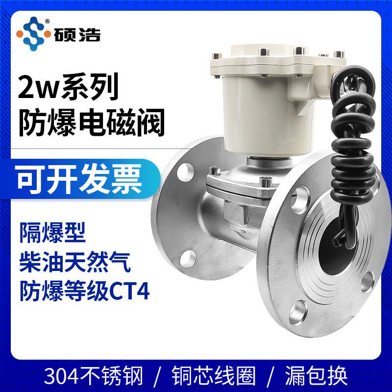 瓦斯液化气防爆电磁阀220V24V法兰柴油阀气阀电动控制常闭水阀