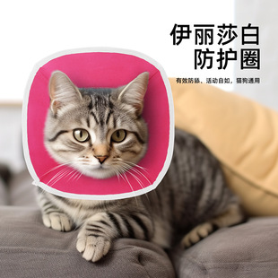 专供伊丽莎白圈宠物防护罩头套伊丽莎白圈猫咪防舔狗项圈