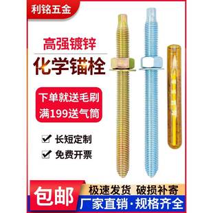 高强度国标化学锚栓膨胀螺丝镀锌螺栓M8M10M12M14M16M18M20M24M30