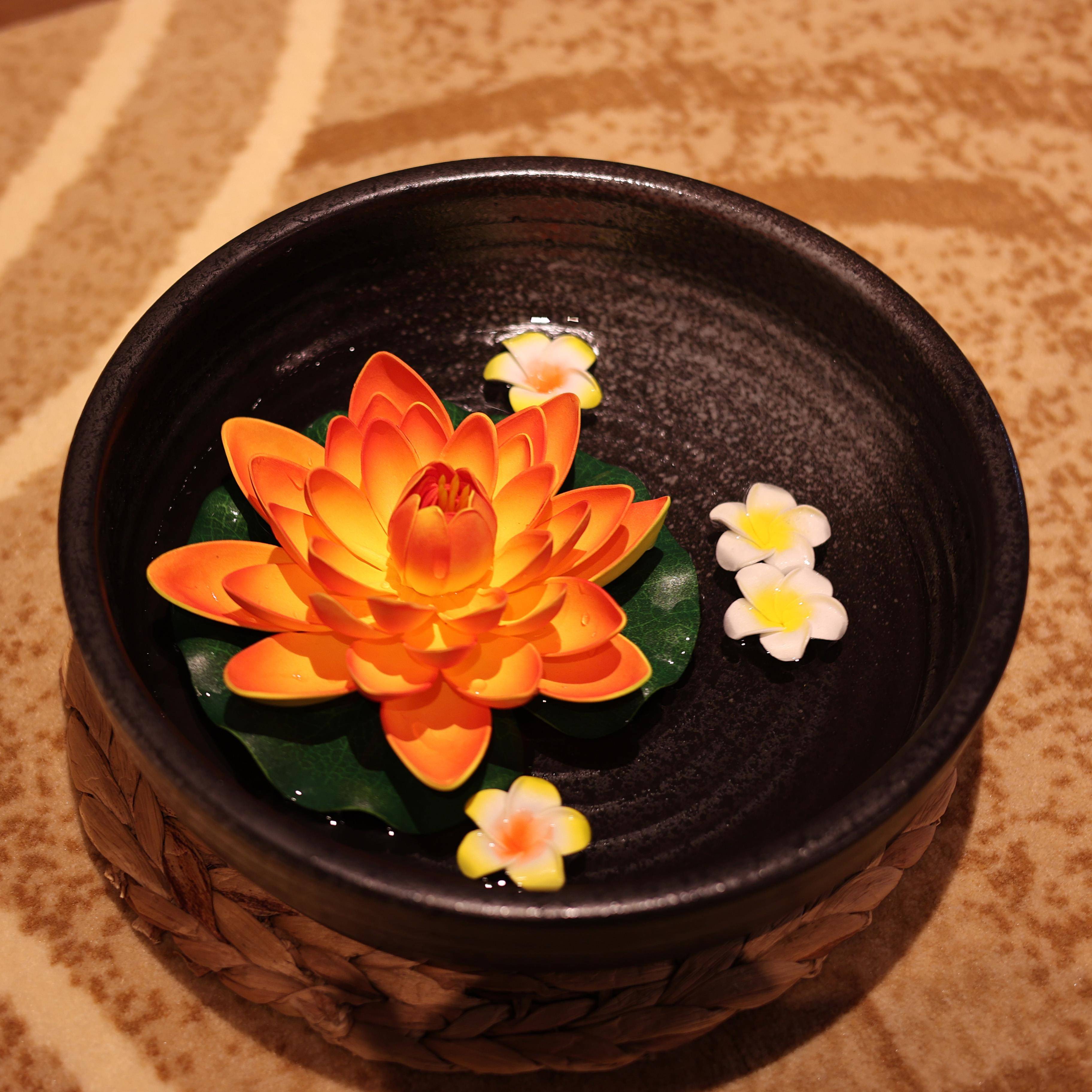 美容床观赏盆观赏盆水疗美容沙龙装饰装饰品黑色观赏盆陶瓷