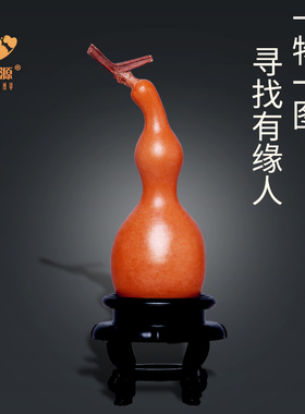葫芦文玩葫芦大异形蚂蚁肚精品葫芦天然真龙白皮烙画