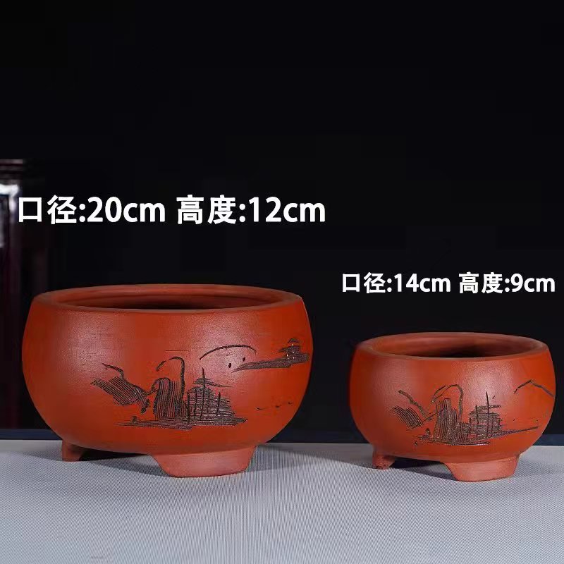 紫砂小花盆蝴蝶兰室内创意盆景多肉精致君子兰兰花仙人球桌面