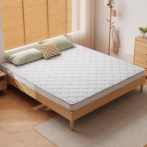 天然椰棕床垫棕榈硬垫子家用卧室米.m折叠定制出租房专用