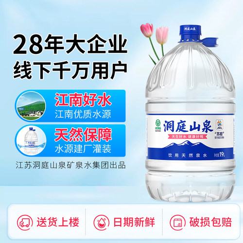 洞庭山泉天然泉水19L*2大桶饮用水泡茶煮饭家用非矿泉水纯净水