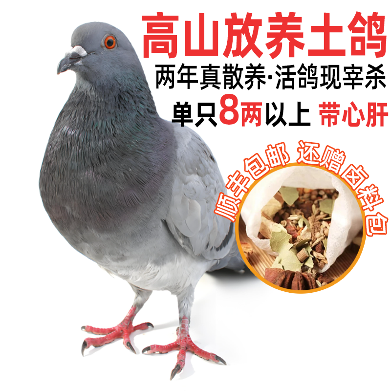 鸽子新鲜宰杀鲜活土鸽子农家散养鸽子肉炖煲汤乳鸽生鲜乳鸽子肉,水产肉类/新鲜蔬果/熟食,乳鸽,淘宝优惠券,粉丝福利购,淘宝优惠卷