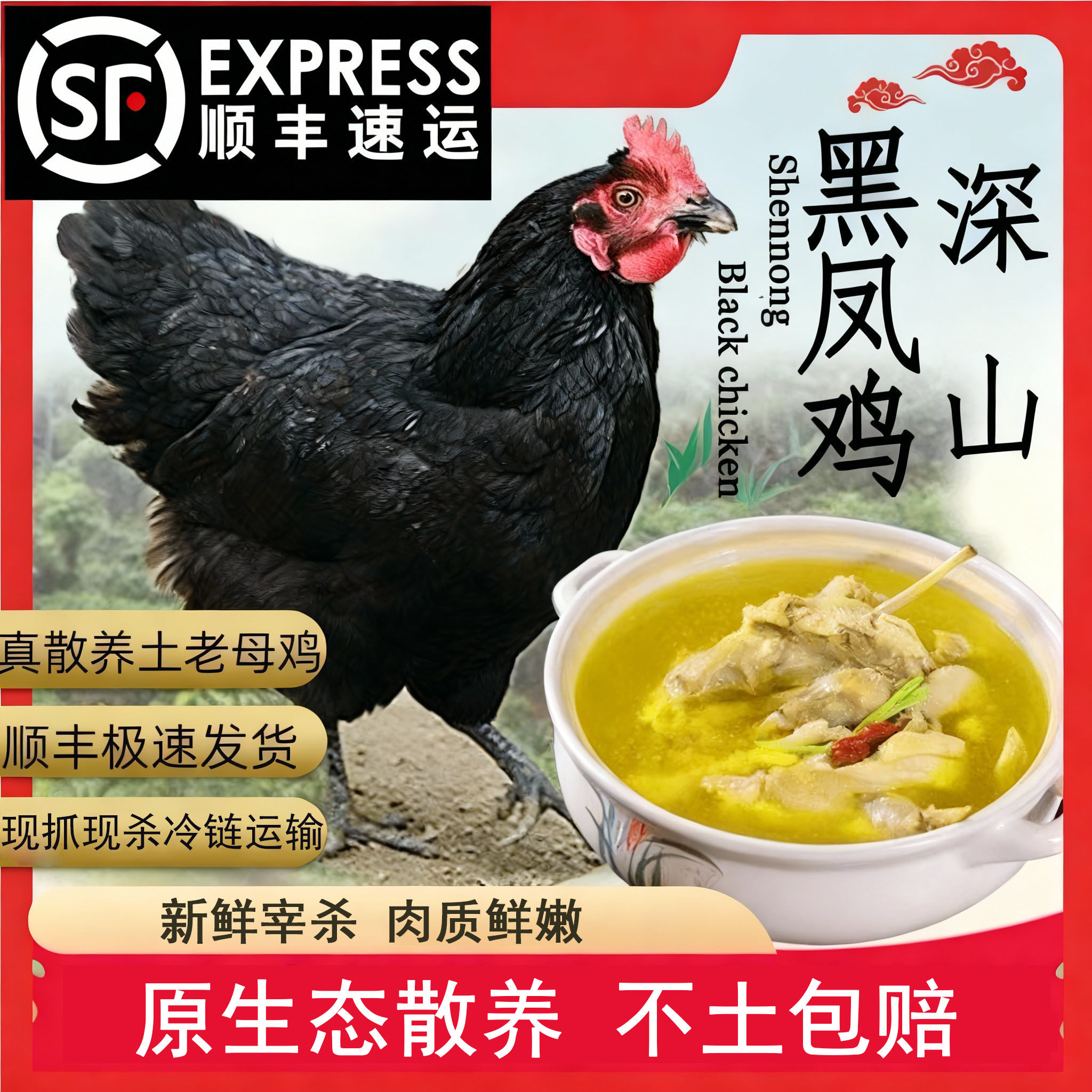 正宗农村散养跑山鸡老母鸡走地鸡草鸡现杀土鸡新鲜鸡肉现杀整只