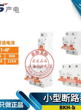 原装正品LG(LS) 微型断路器1P 2P3P4P空气开关BKH-b 63 80 100A
